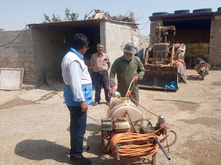 نظارت اداره دامپزشکی رزن بر سم پاشی بخش خصوصی خرداد1405
